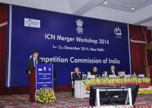 ICN Merger Workshop Photo Gallery