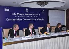 ICN Merger Workshop Photo Gallery