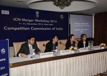 ICN Merger Workshop Photo Gallery