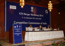 ICN Merger Workshop Photo Gallery